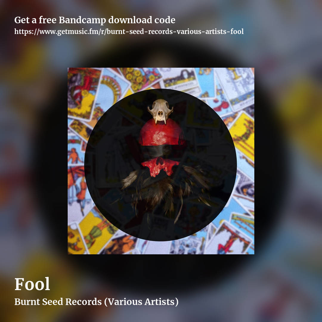 Fool by Burnt Seed Records (Various Artists), square promo share image