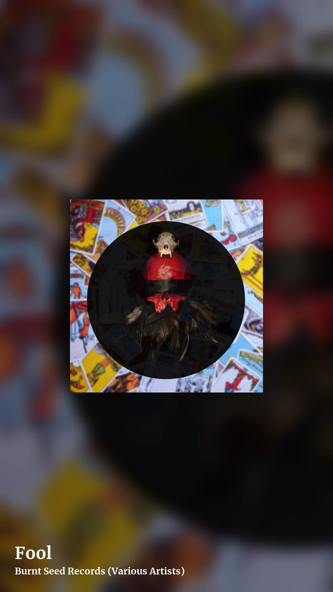 Fool by Burnt Seed Records (Various Artists), story clean share image