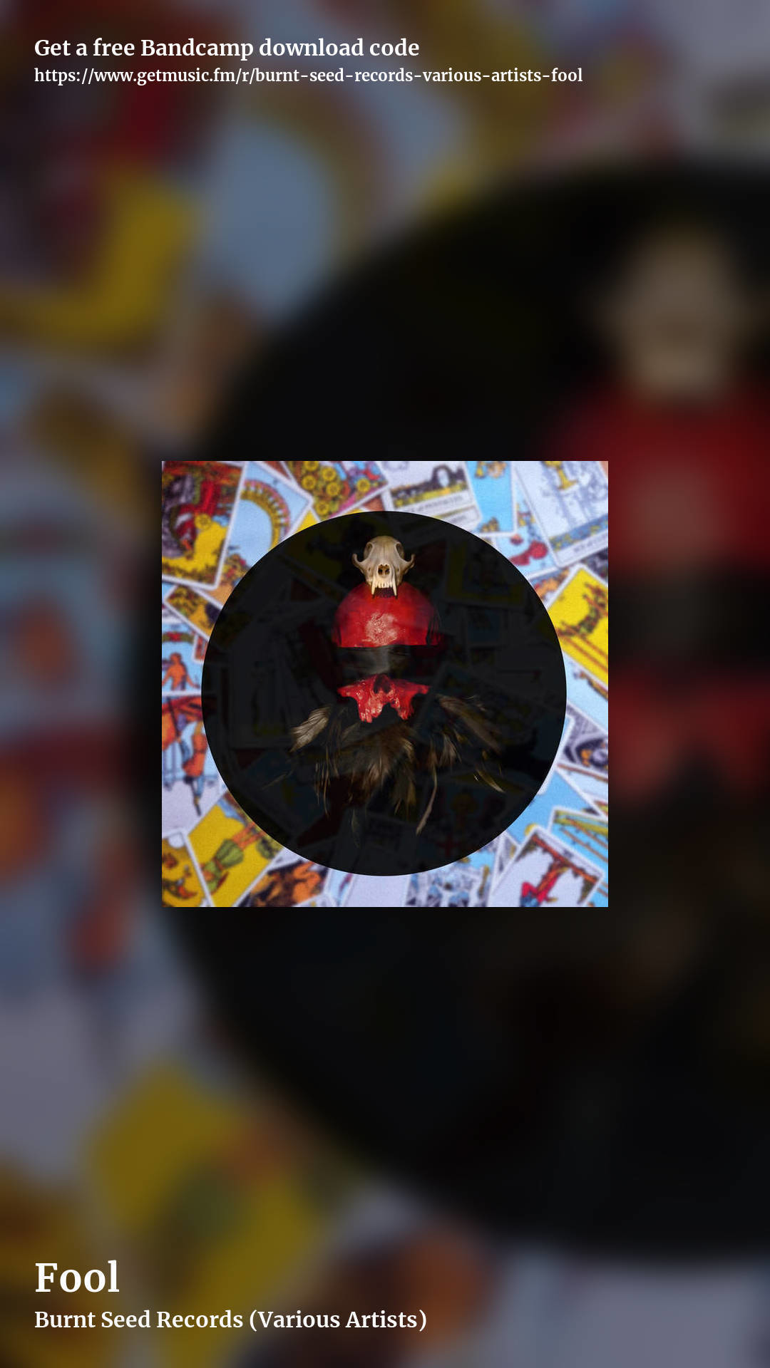 Fool by Burnt Seed Records (Various Artists), story promo share image