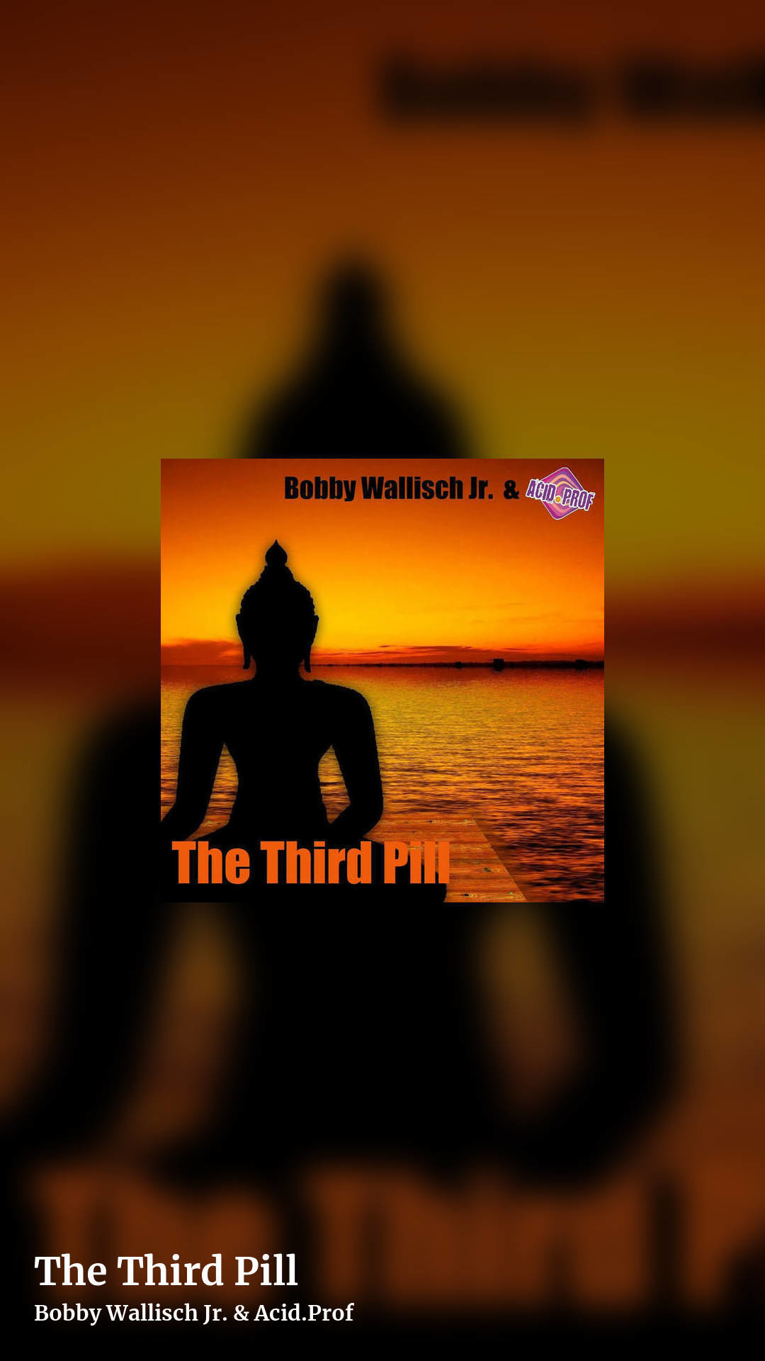 The Third Pill by Bobby Wallisch Jr. & Acid.Prof, story clean share image