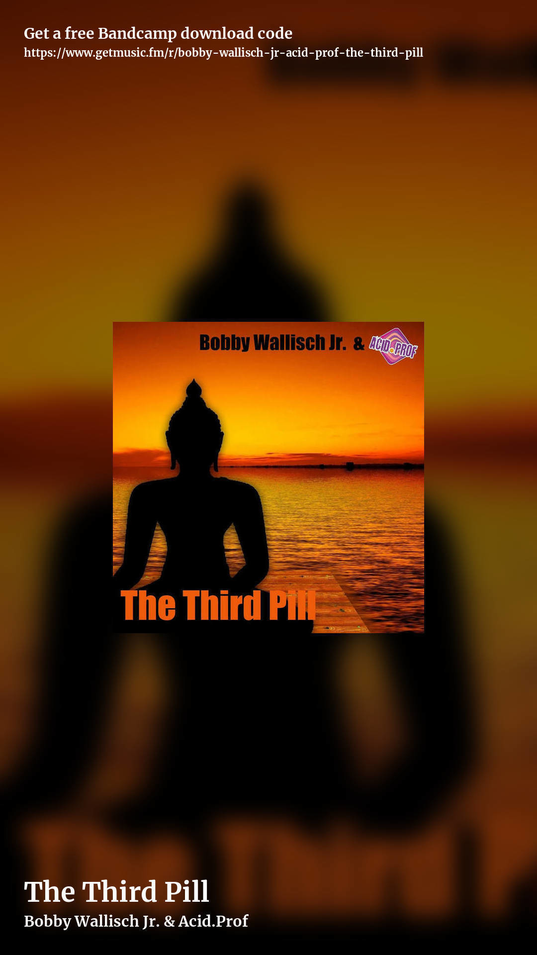 The Third Pill by Bobby Wallisch Jr. & Acid.Prof, story promo share image