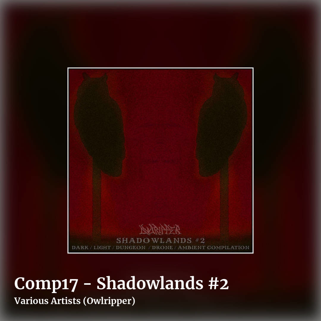 Comp17 - Shadowlands #2 by Various Artists (Owlripper), square clean share image