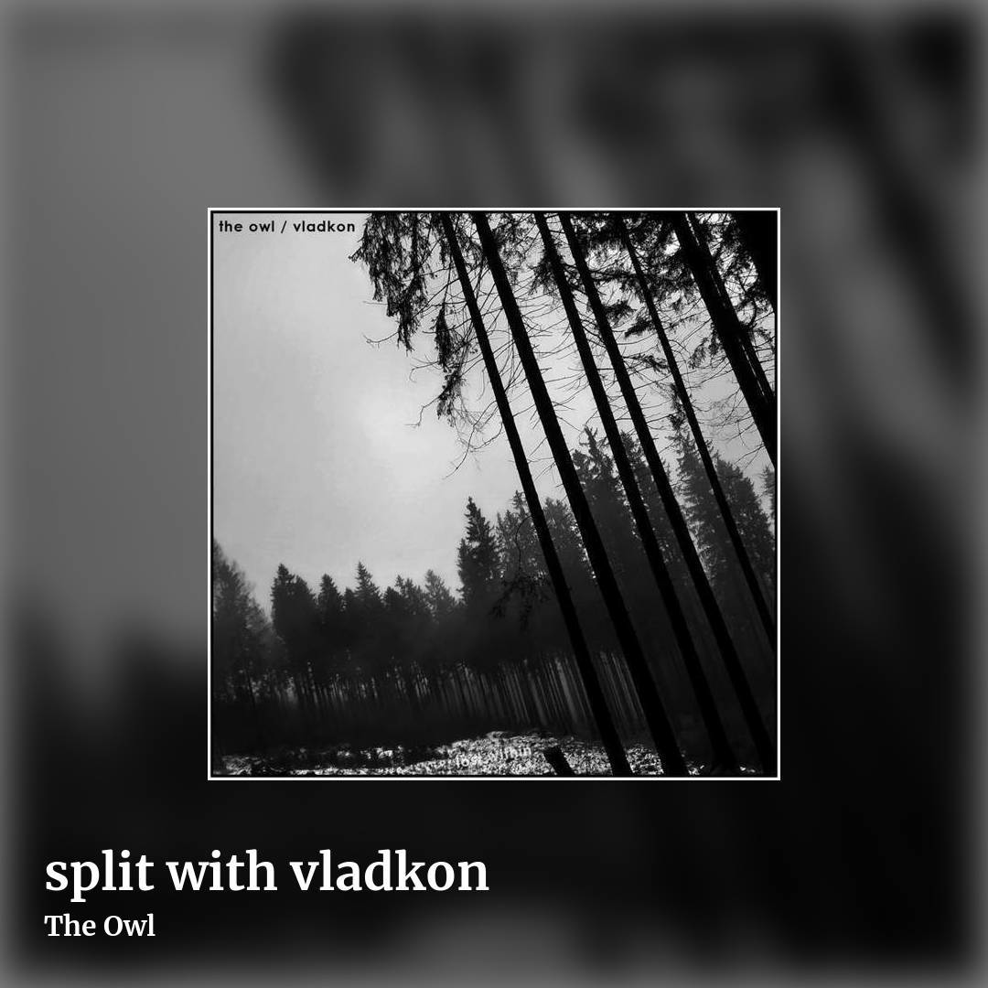 split with vladkon by The Owl, square clean share image