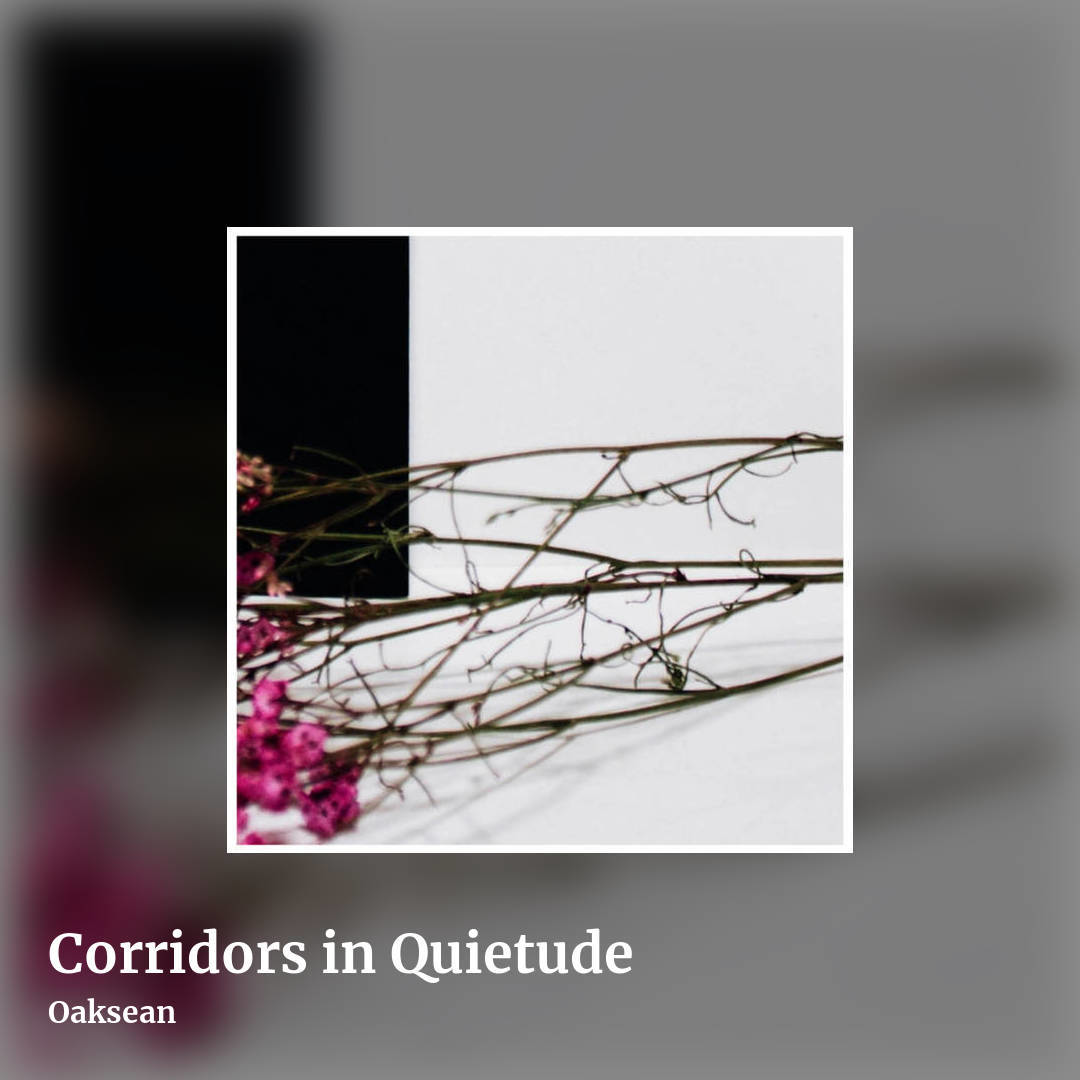 Corridors in Quietude by Oaksean, square clean share image