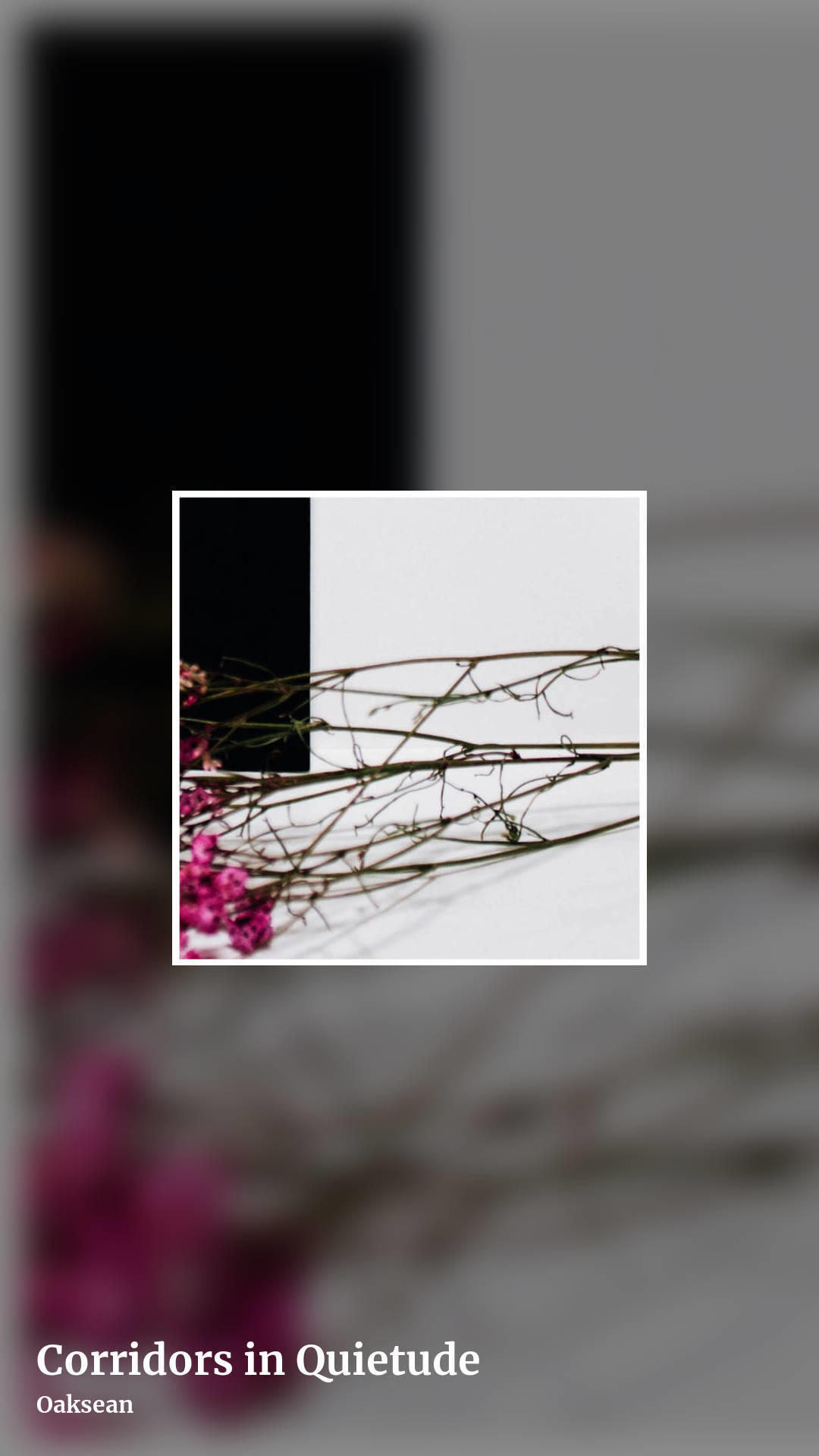 Corridors in Quietude by Oaksean, story clean share image