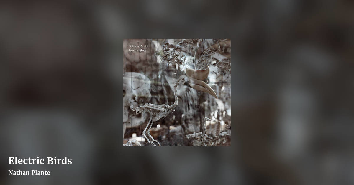Electric Birds by Nathan Plante, landscape clean share image