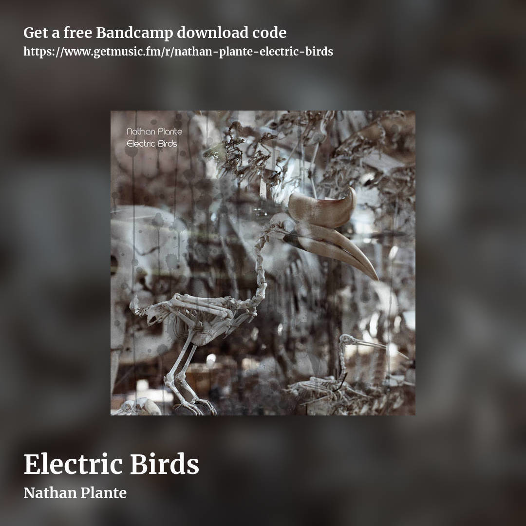 Electric Birds by Nathan Plante, square promo share image