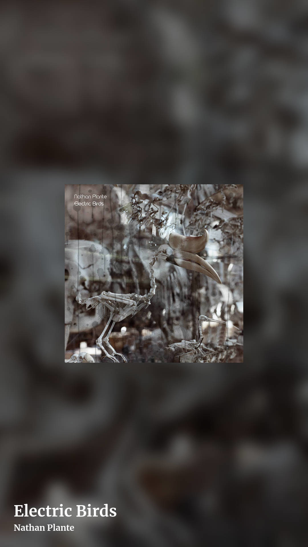 Electric Birds by Nathan Plante, story clean share image