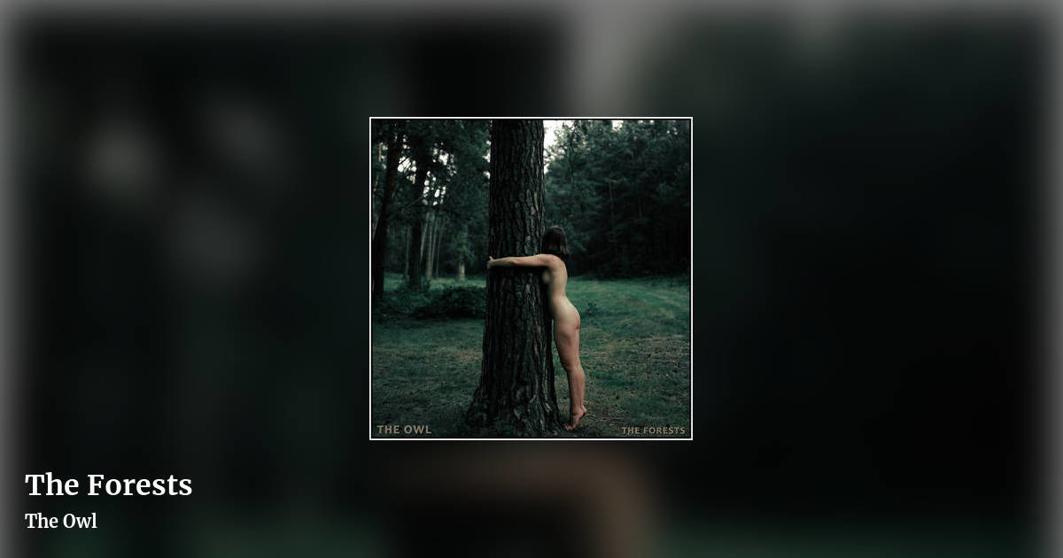 The Forests by The Owl, landscape clean share image