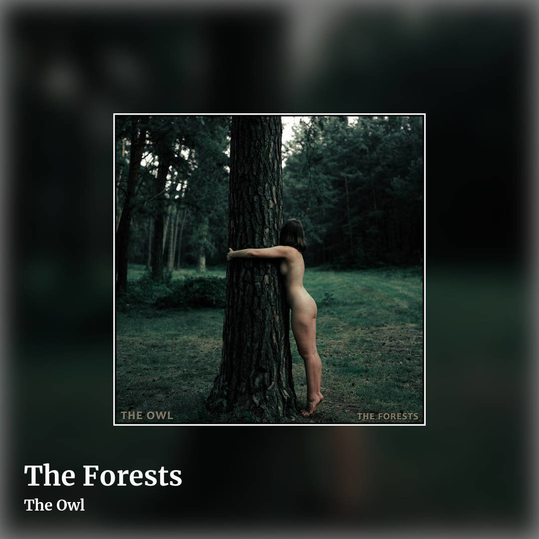 The Forests by The Owl, square clean share image