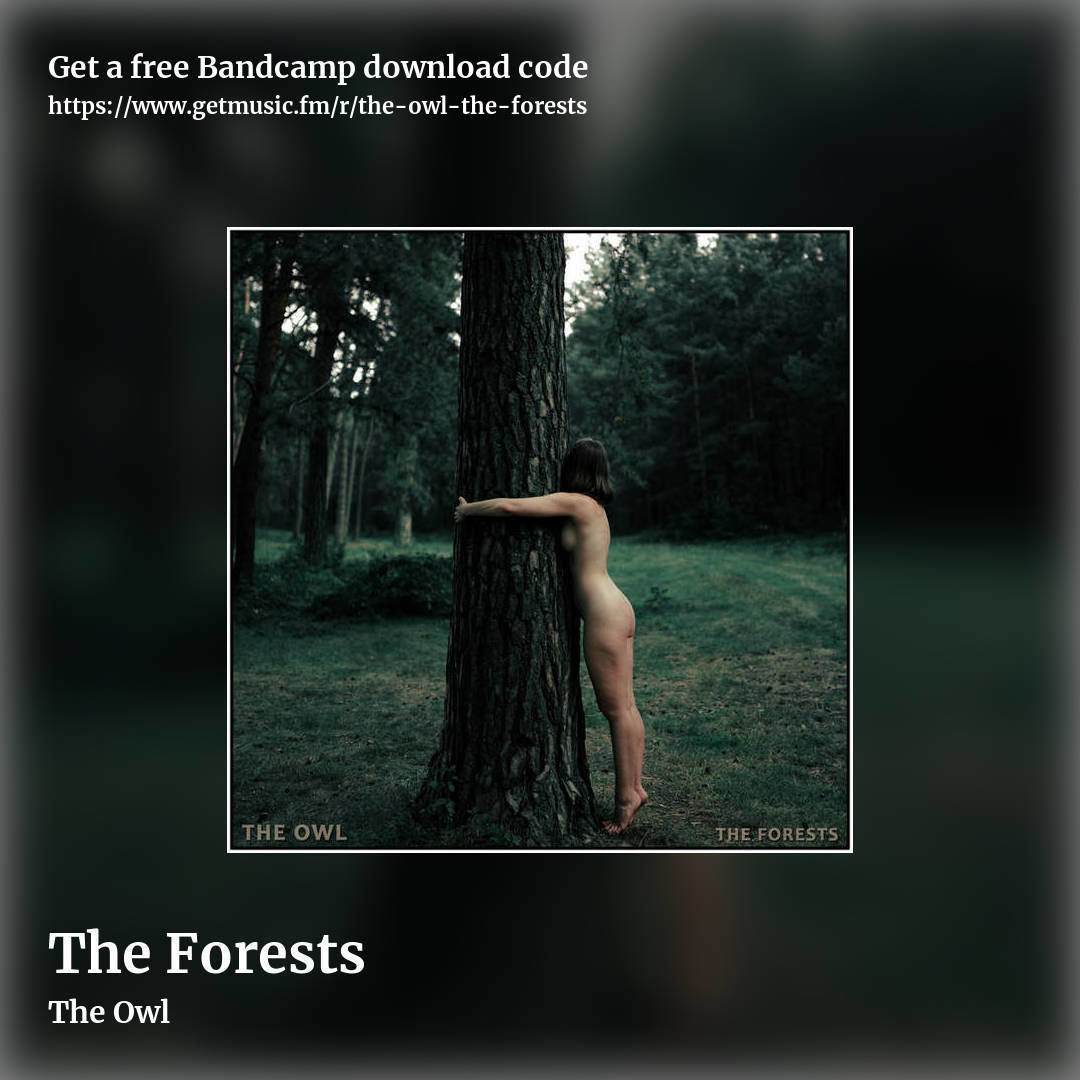 The Forests by The Owl, square promo share image