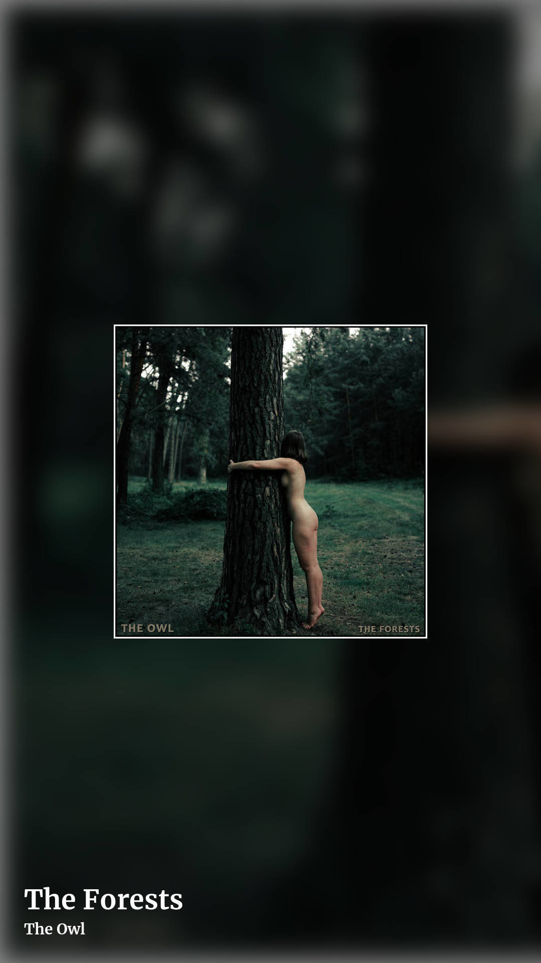 The Forests by The Owl, story clean share image