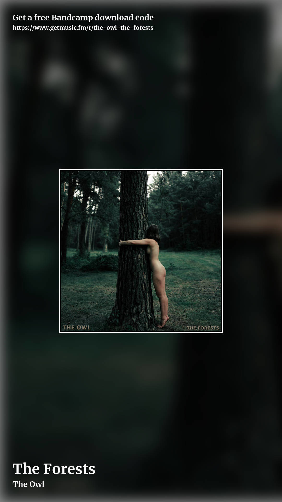 The Forests by The Owl, story promo share image