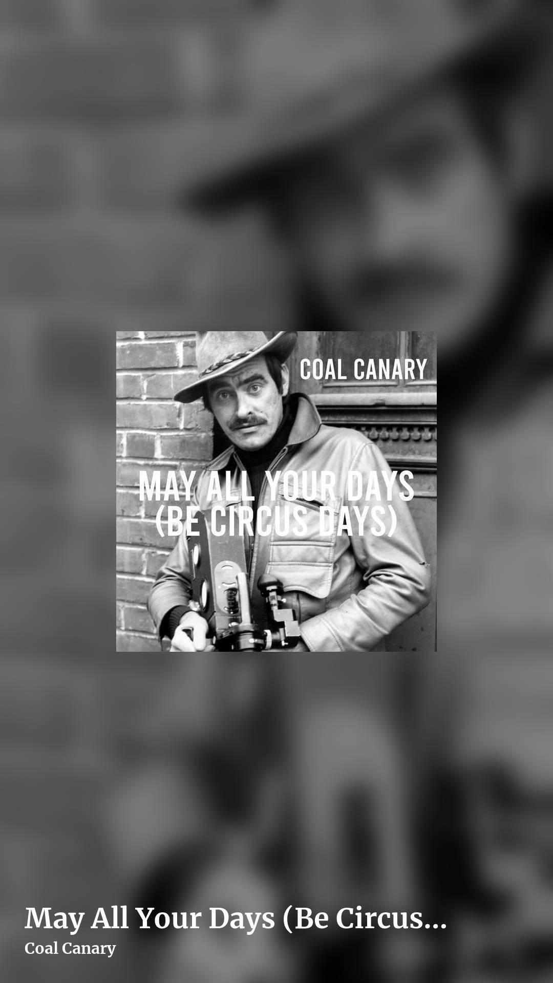 May All Your Days (Be Circus Days) by Coal Canary, story clean share image