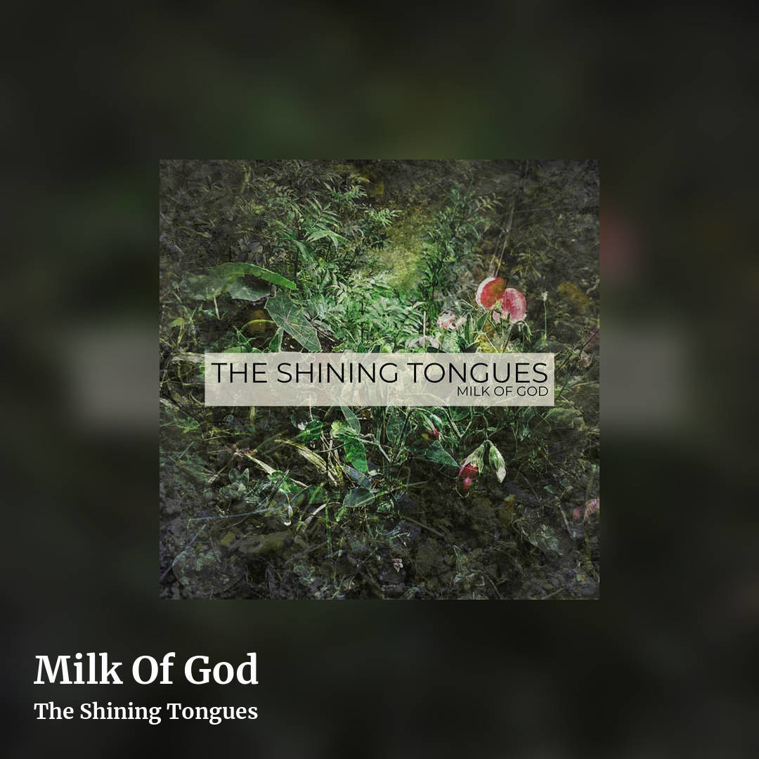 Milk Of God by The Shining Tongues, square clean share image
