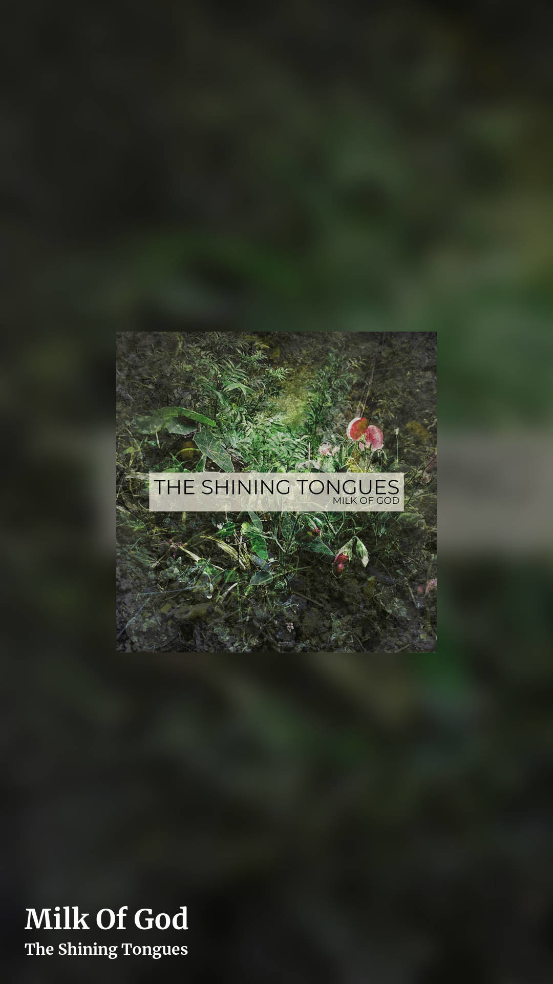Milk Of God by The Shining Tongues, story clean share image