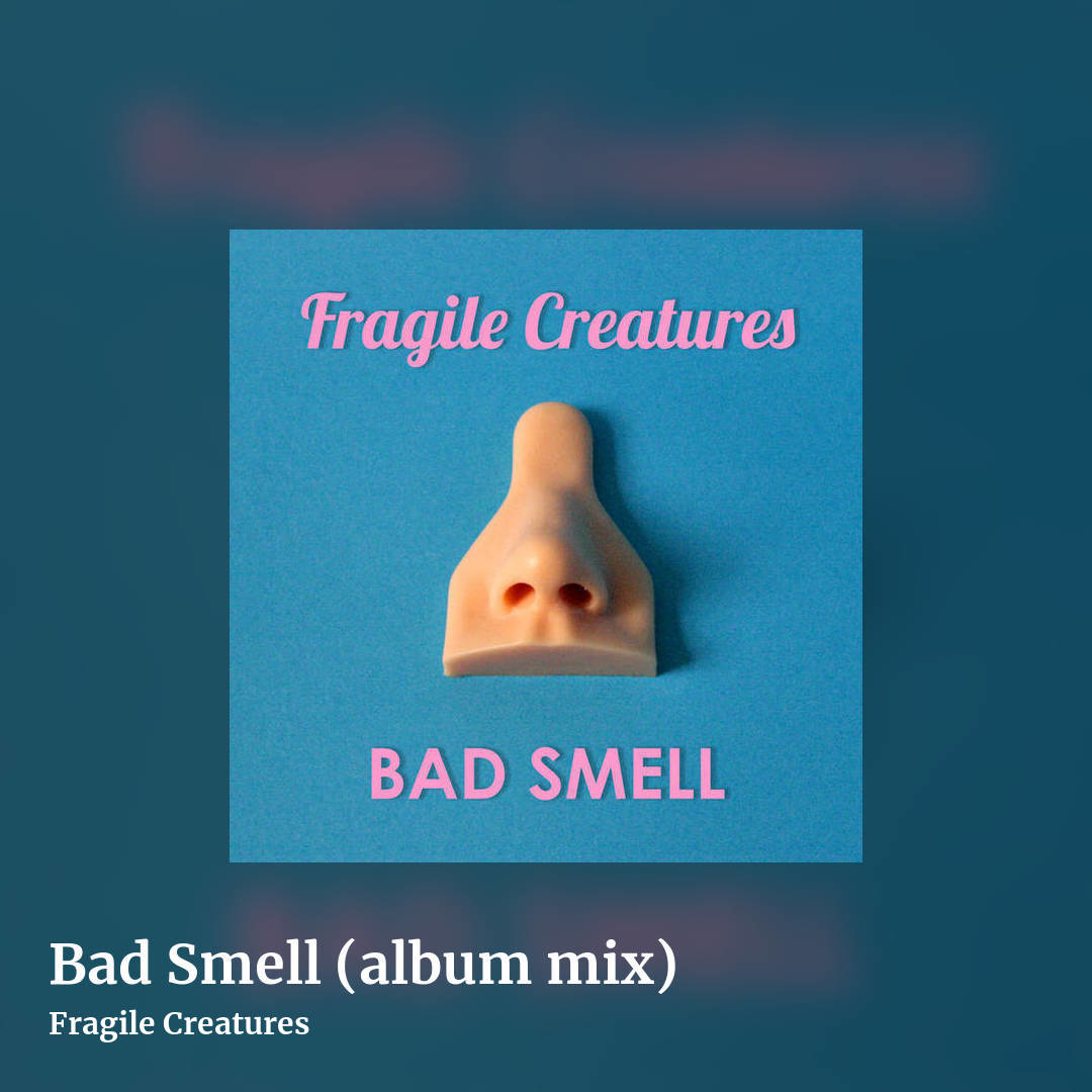 Bad Smell (album mix) by Fragile Creatures , square clean share image