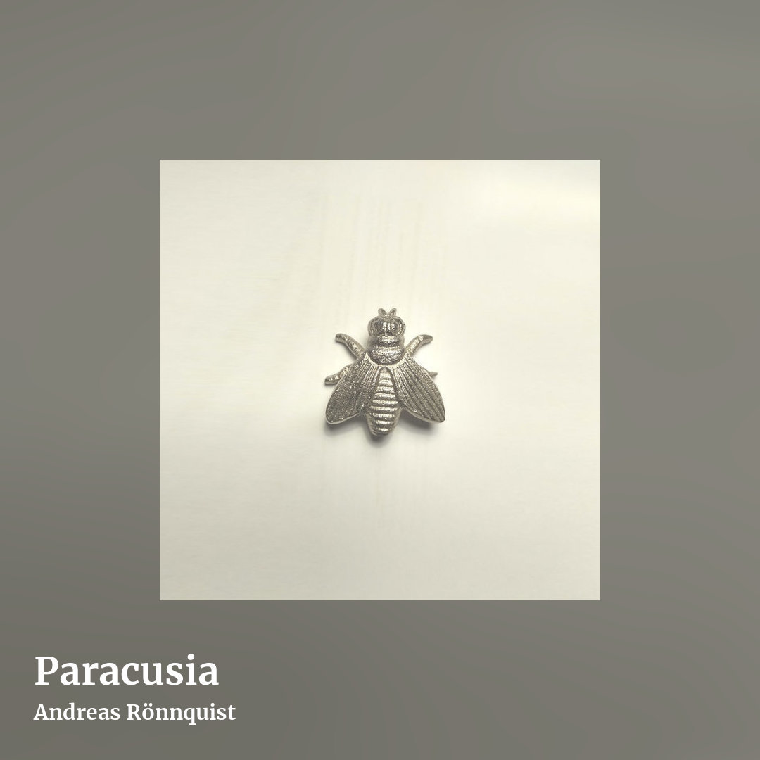 Paracusia by Andreas Rönnquist, square clean share image