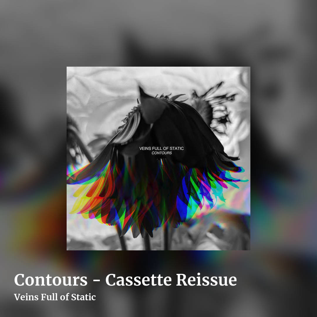 Contours - Cassette Reissue by Veins Full of Static, square clean share image