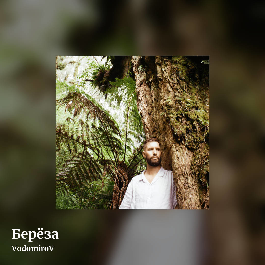 Берёза by VodomiroV, square clean share image