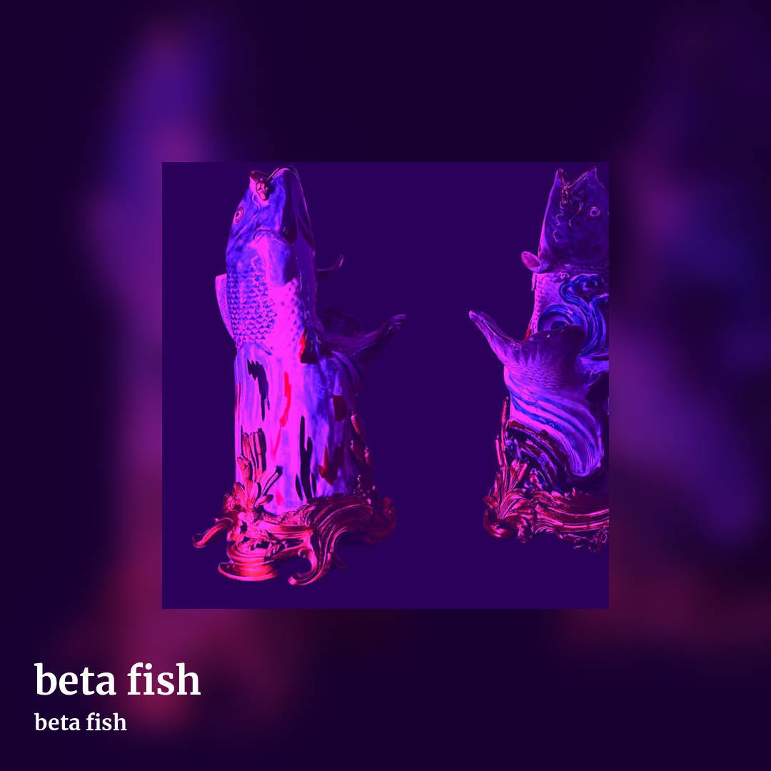 beta fish by beta fish, square clean share image