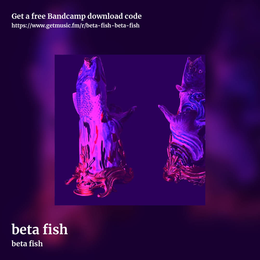 beta fish by beta fish, square promo share image