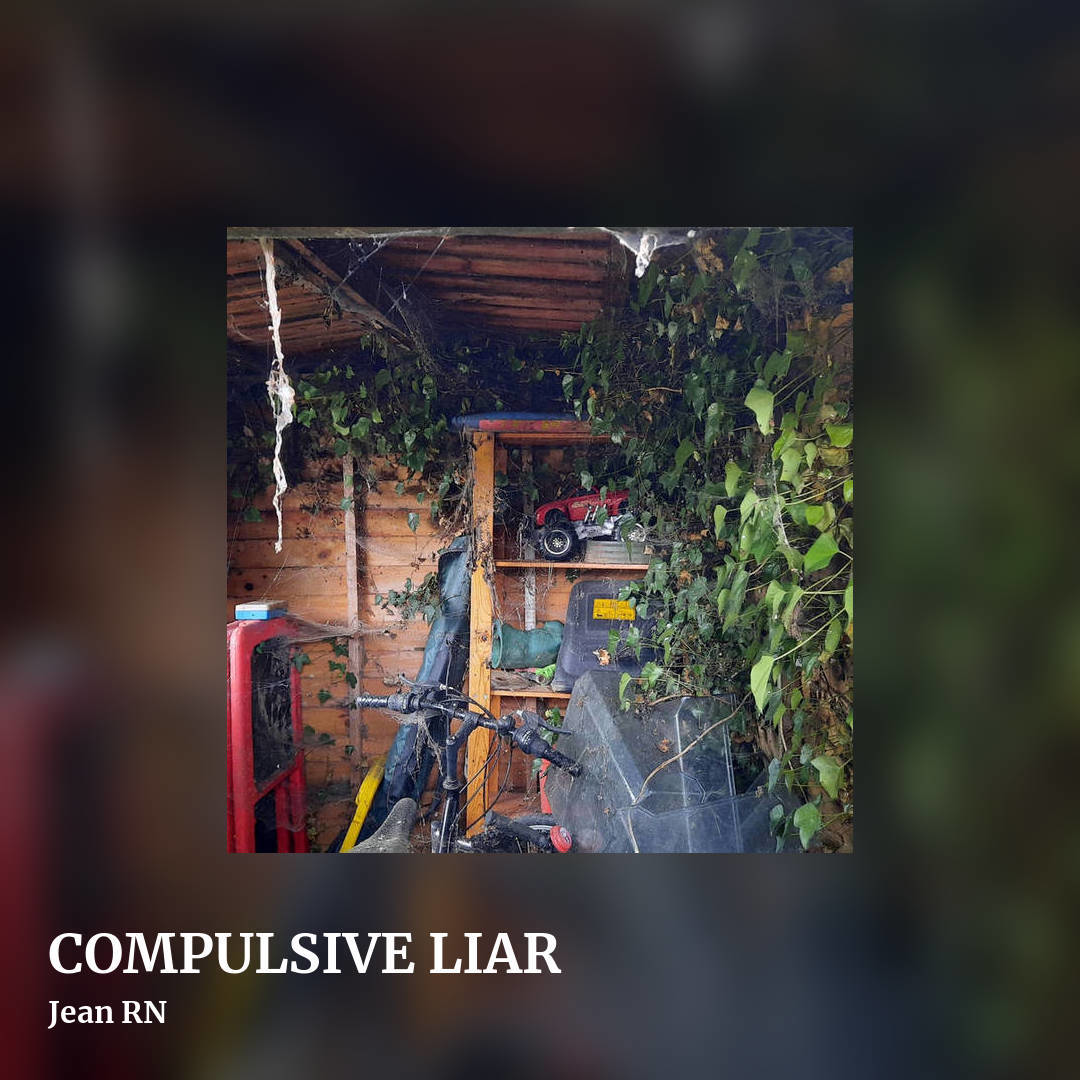 COMPULSIVE LIAR by Jean RN, square clean share image