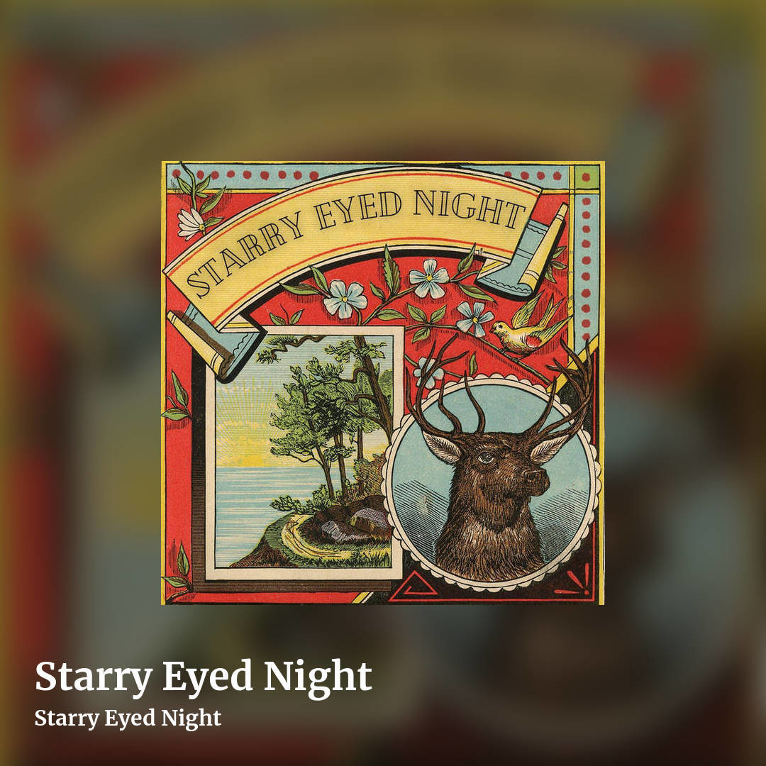 Starry Eyed Night by Starry Eyed Night, square clean share image