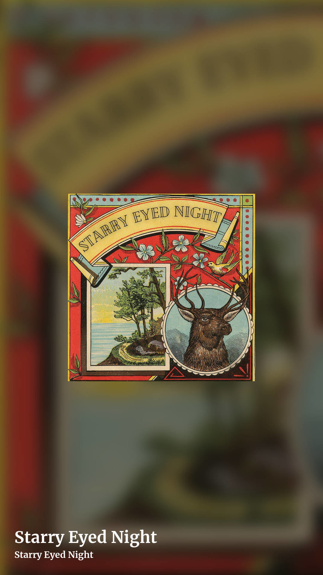 Starry Eyed Night by Starry Eyed Night, story clean share image