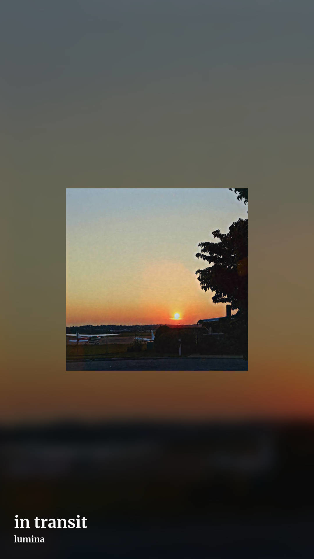 in transit by lumina, story clean share image