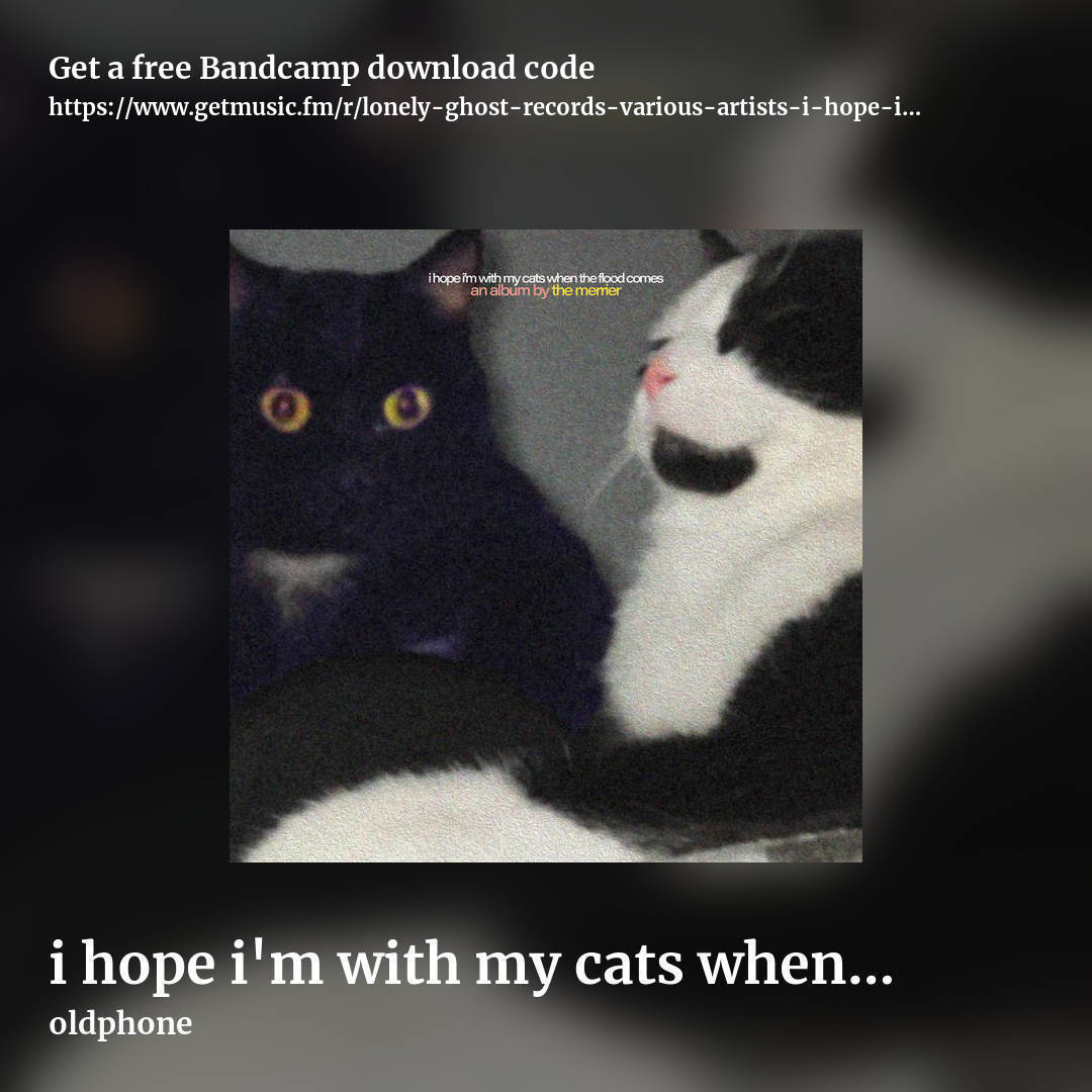 i hope i'm with my cats when the flood comes by oldphone, square promo share image