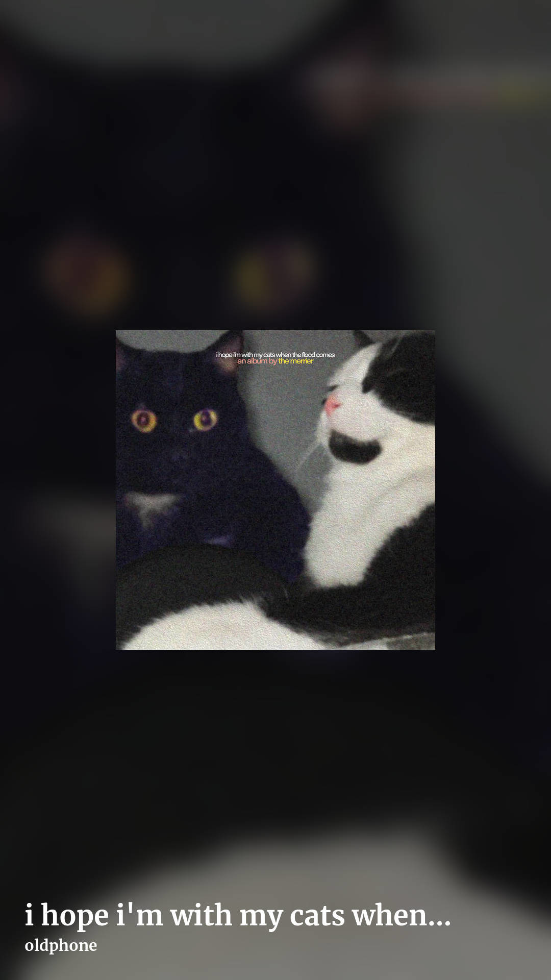i hope i'm with my cats when the flood comes by oldphone, story clean share image