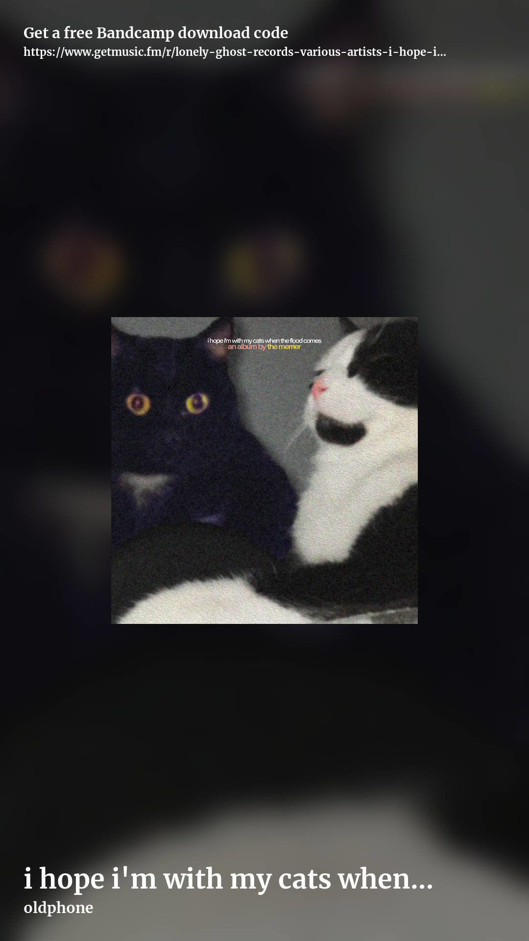 i hope i'm with my cats when the flood comes by oldphone, story promo share image