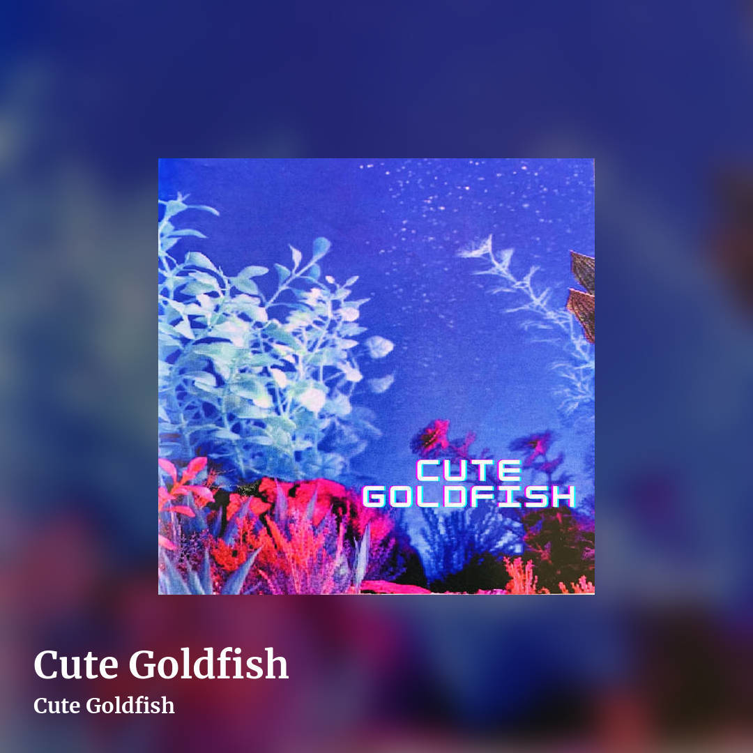 Cute Goldfish by Cute Goldfish, square clean share image