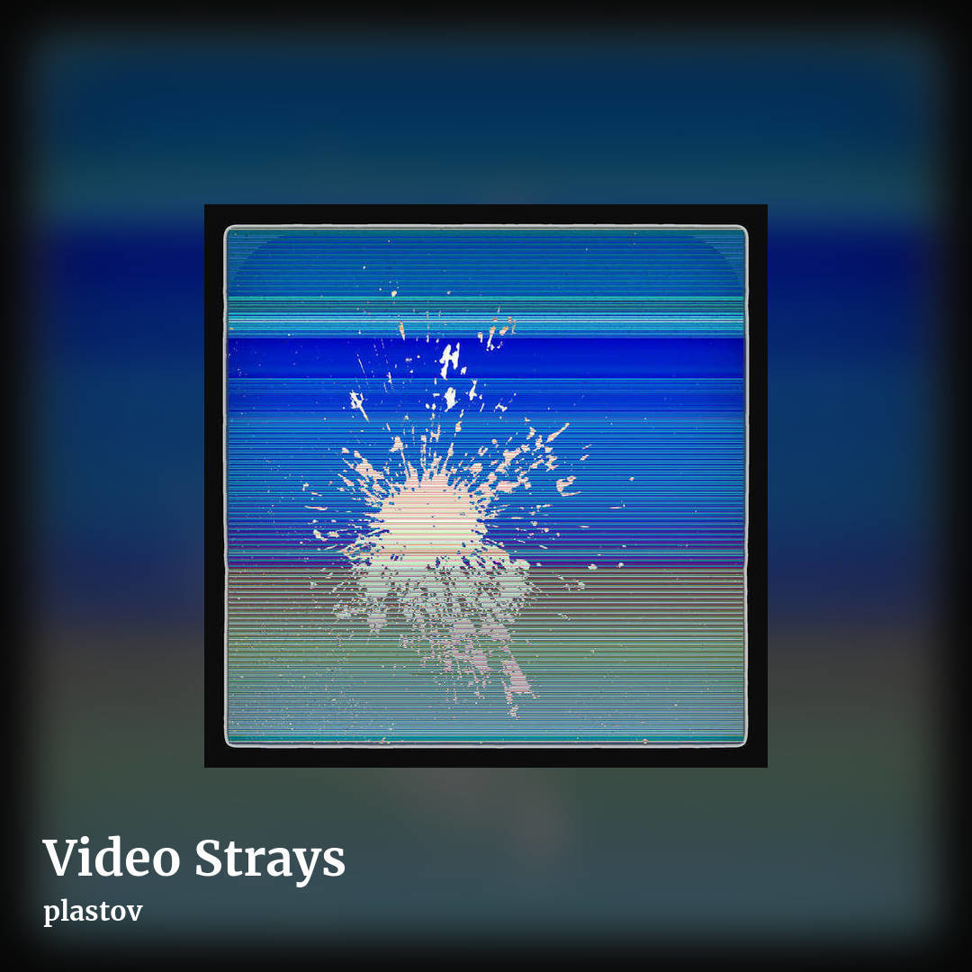 Video Strays by plastov, square clean share image