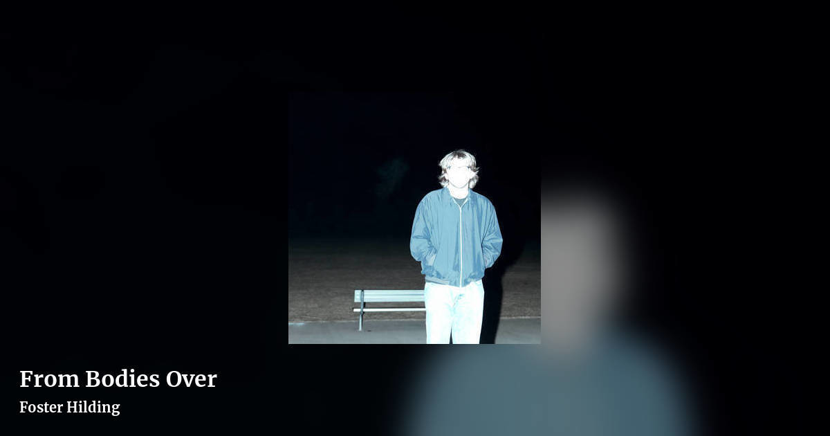 From Bodies Over by Foster Hilding, landscape clean share image