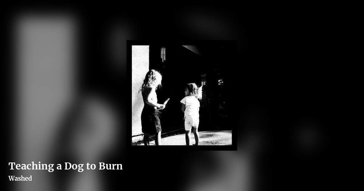 Teaching a Dog to Burn by Washed, landscape clean share image