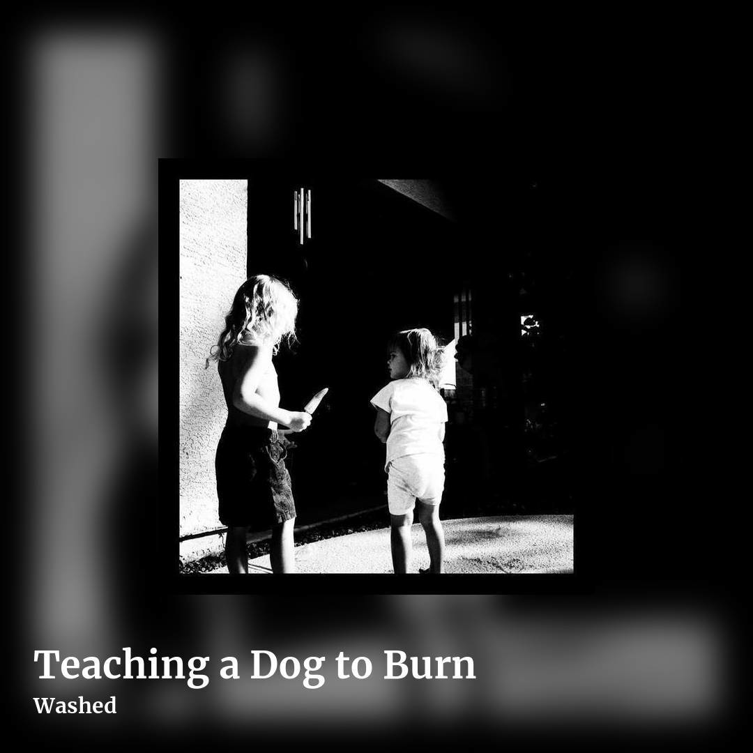 Teaching a Dog to Burn by Washed, square clean share image