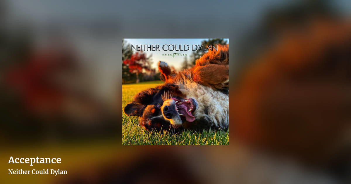 Acceptance by Neither Could Dylan, landscape clean share image