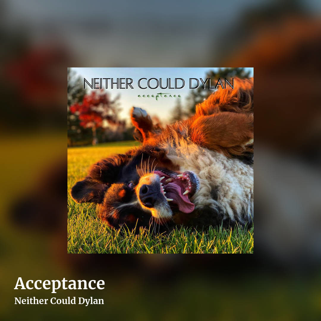 Acceptance by Neither Could Dylan, square clean share image