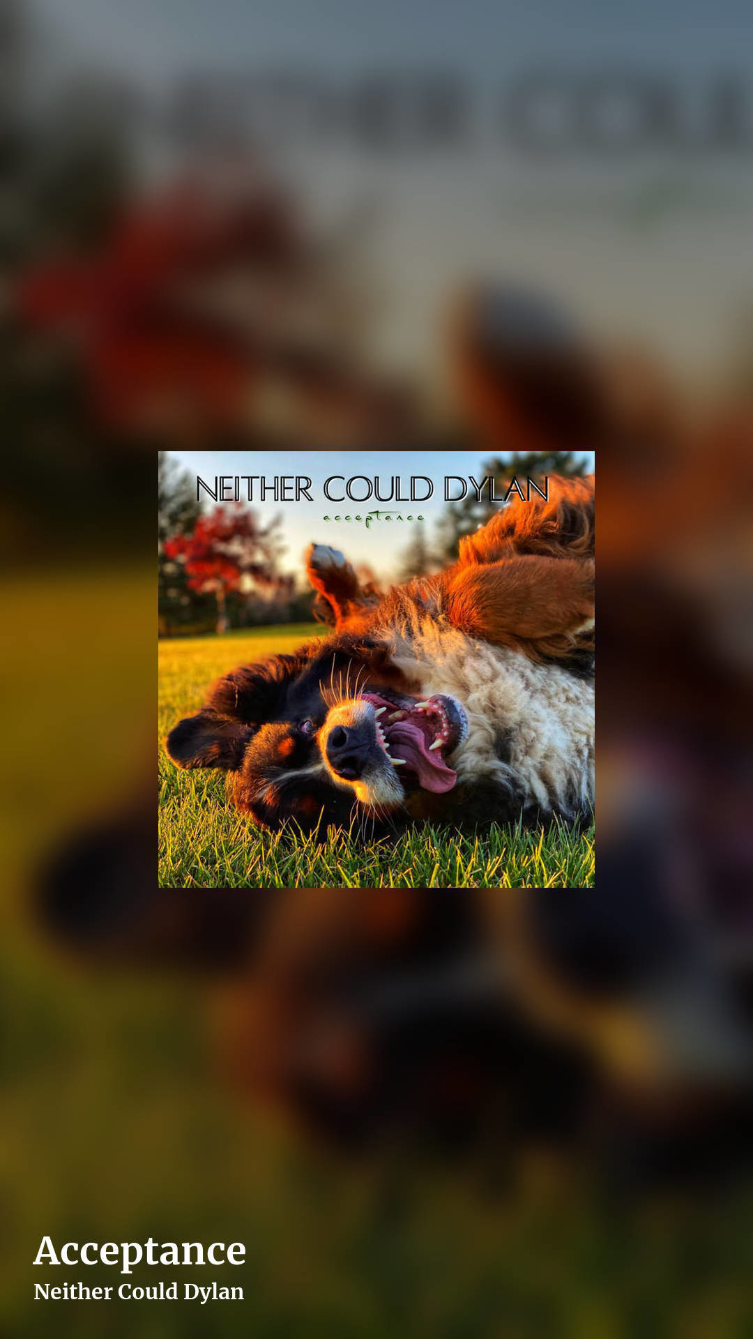 Acceptance by Neither Could Dylan, story clean share image