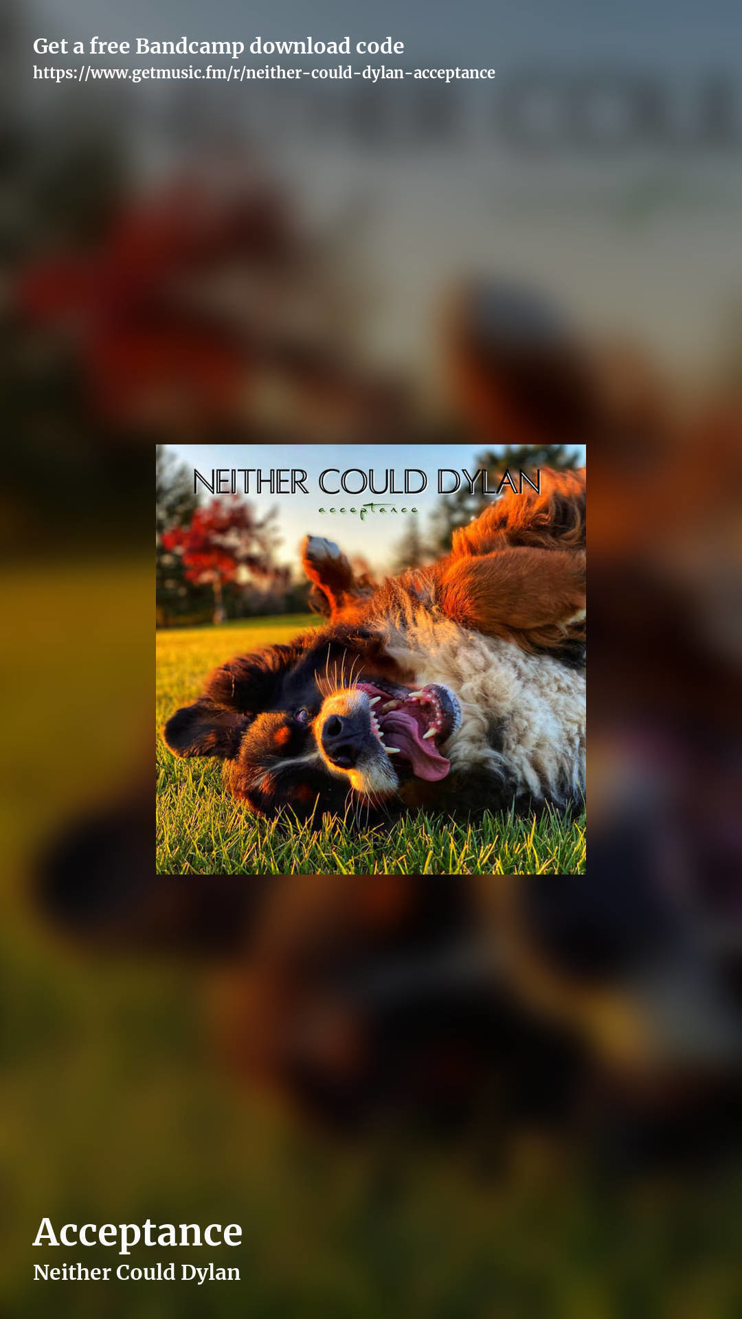 Acceptance by Neither Could Dylan, story promo share image