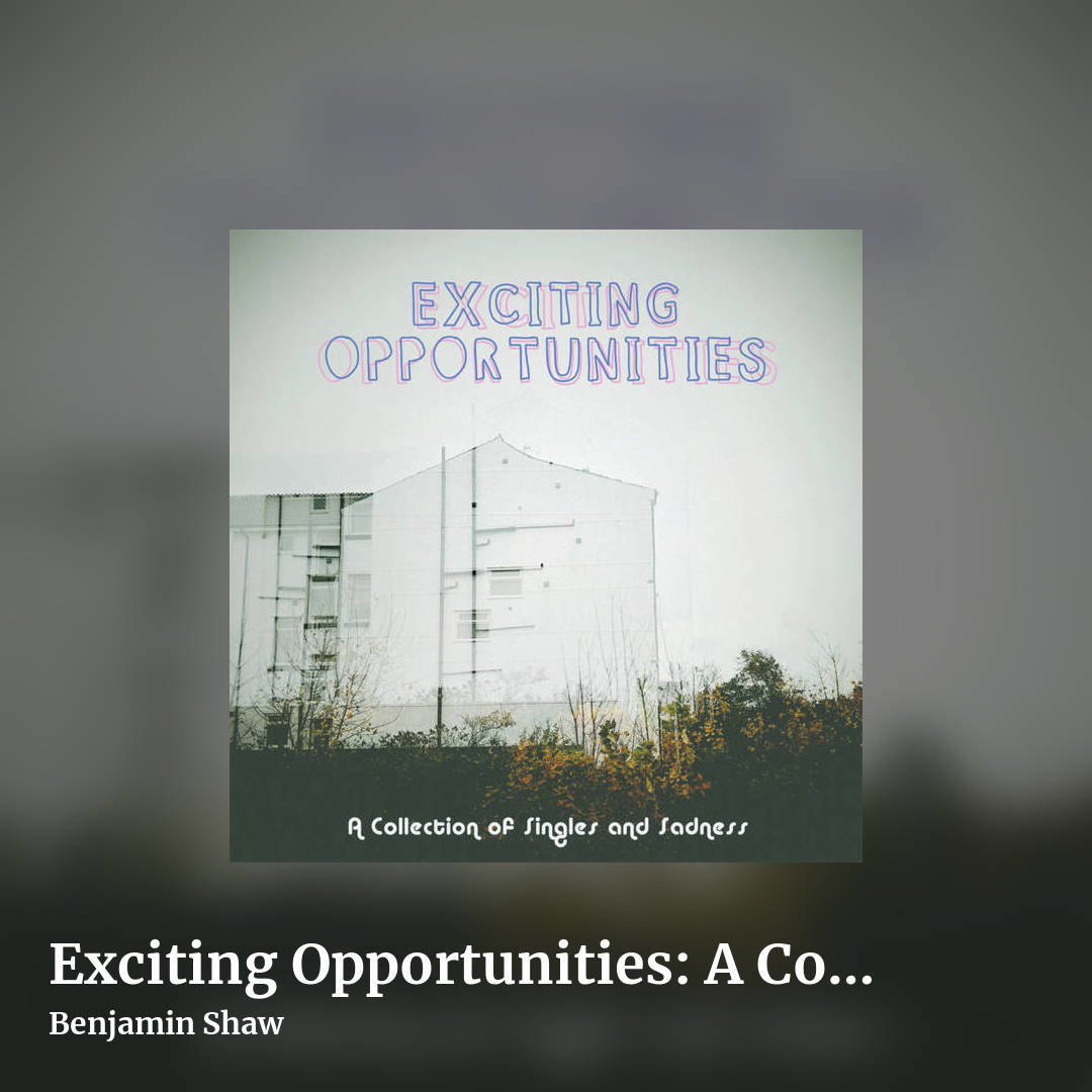 Exciting Opportunities: A Collection of Singles and Sadness by Benjamin Shaw, square clean share image