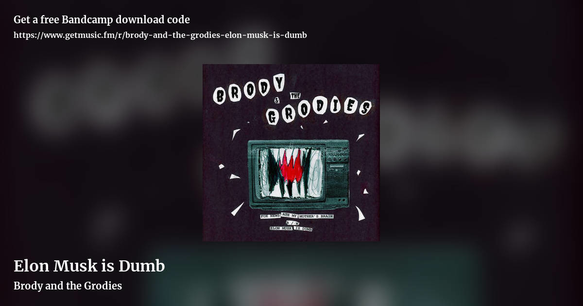 Elon Musk is Dumb by Brody and the Grodies, landscape promo share image
