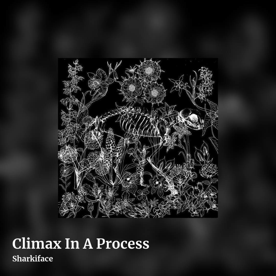 Climax In A Process by Sharkiface, square clean share image