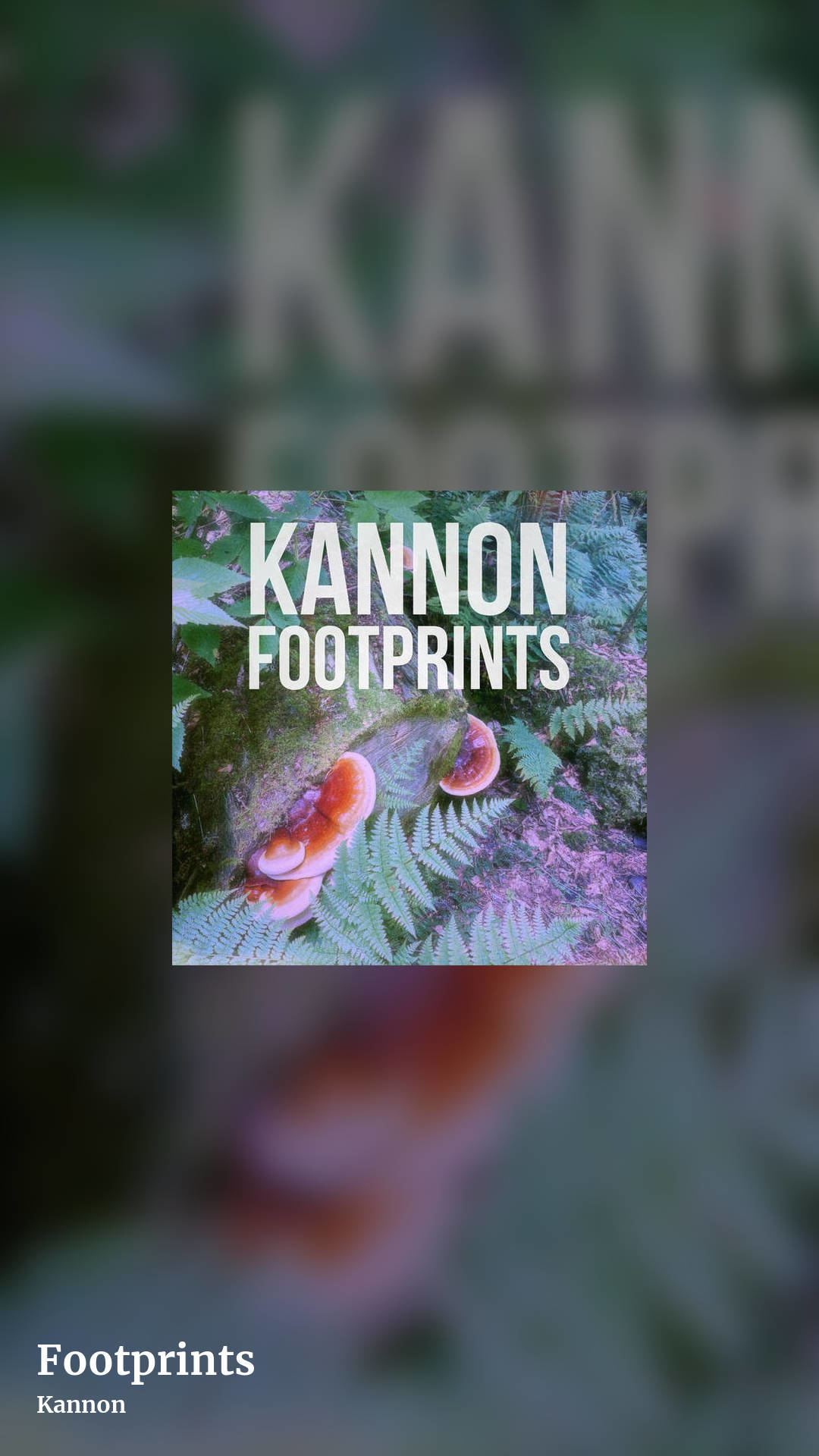 Footprints by Kannon, story clean share image