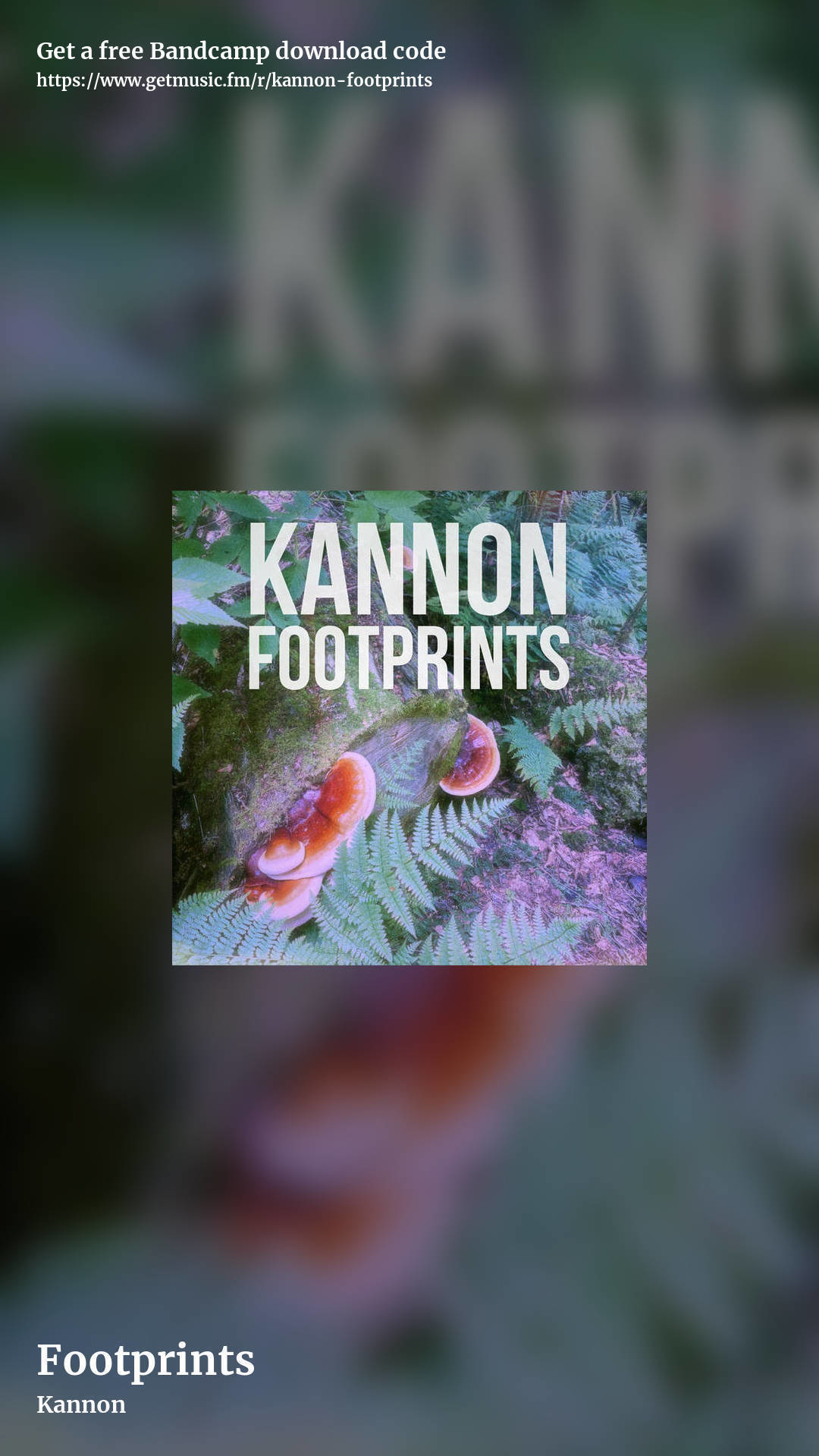 Footprints by Kannon, story promo share image