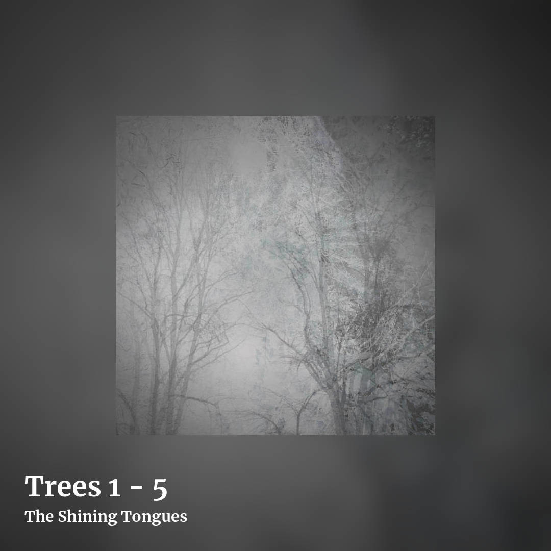 Trees 1 - 5 by The Shining Tongues, square clean share image
