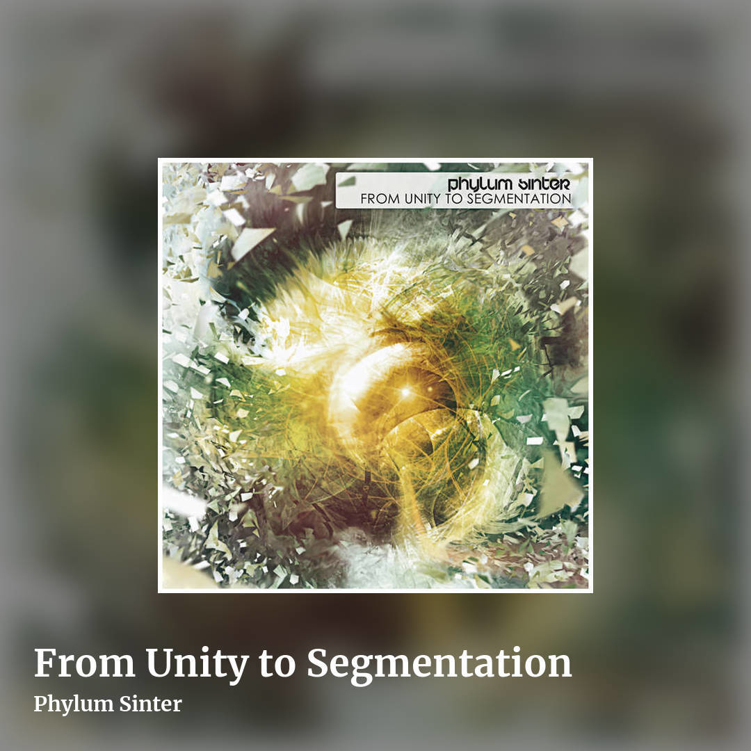 From Unity to Segmentation by Phylum Sinter, square clean share image