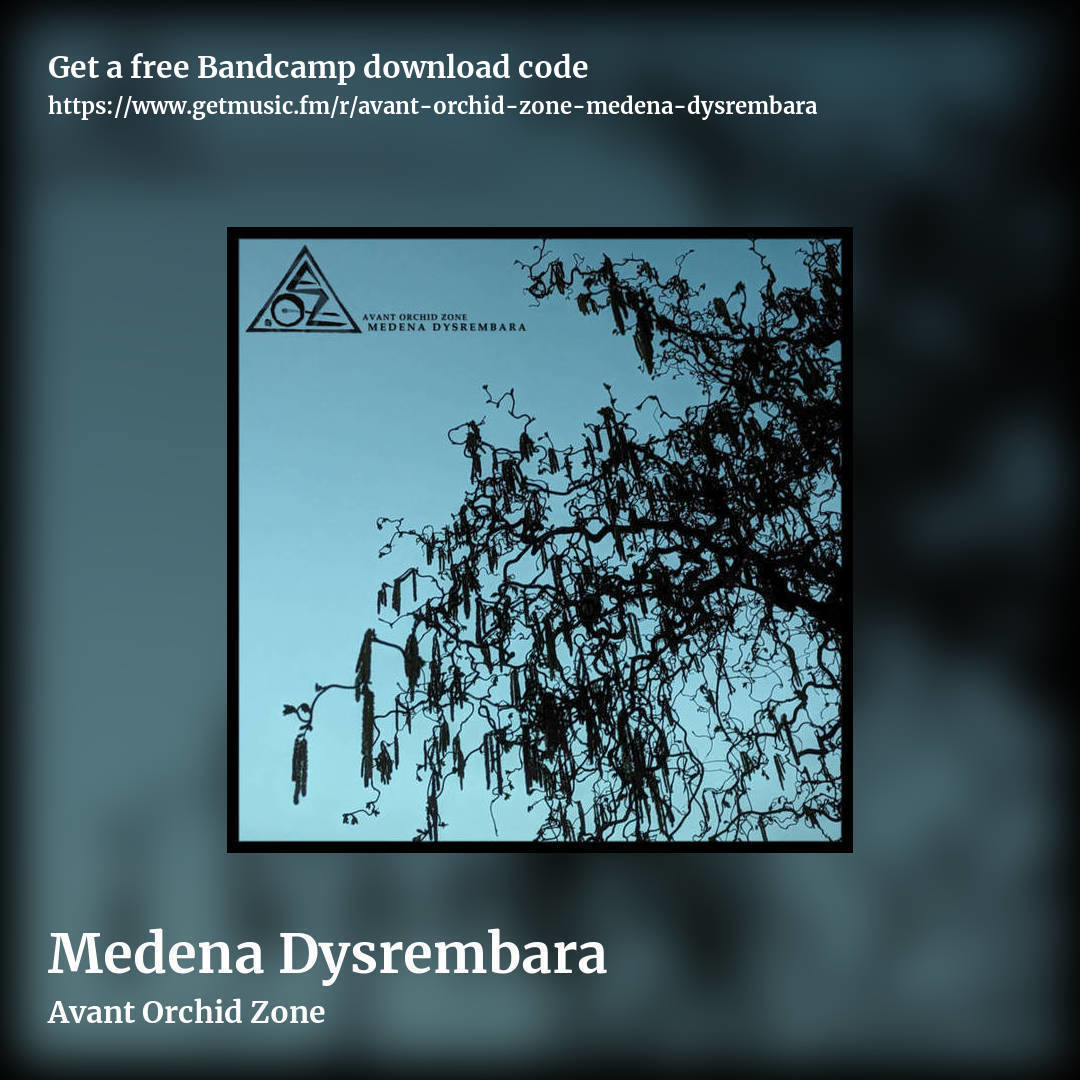 Medena Dysrembara by Avant Orchid Zone, square promo share image